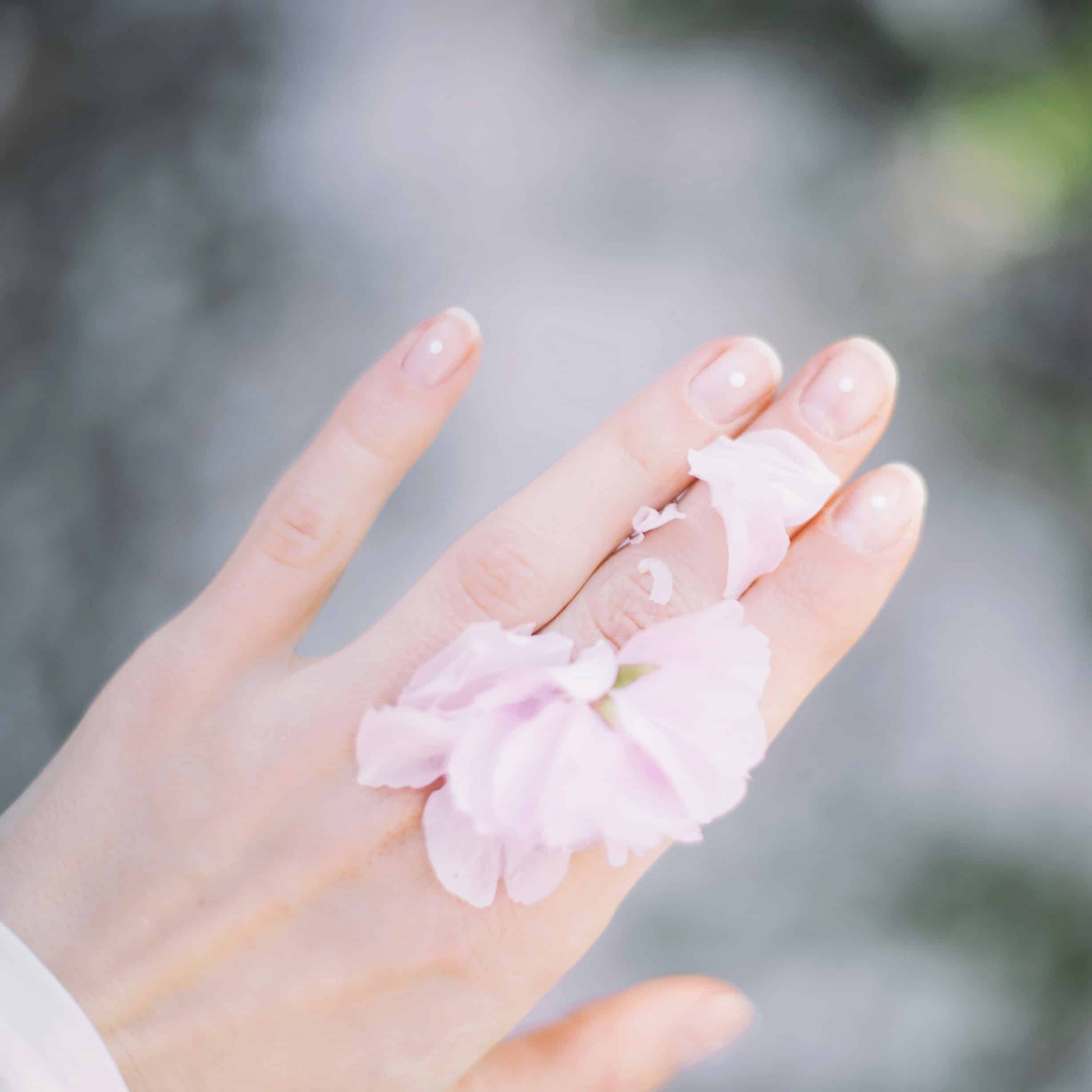 Eine Hand mit rosa Blütenblättern, die sanft um den Finger gelegt sind.