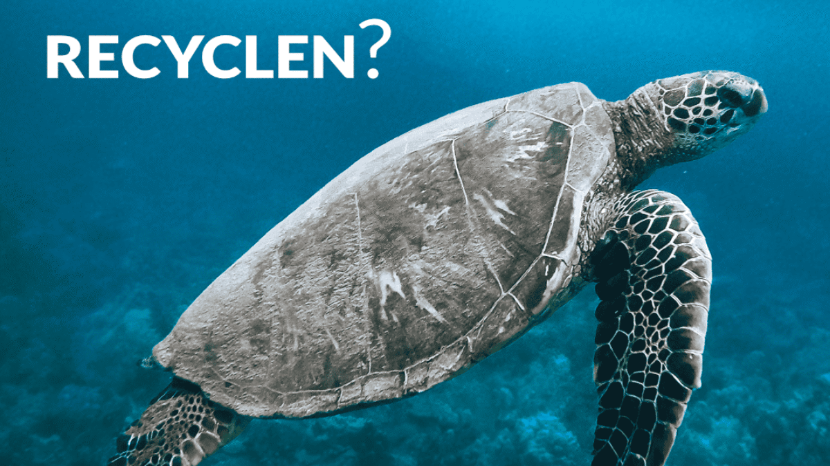 Eine Schildkröte schwimmt unter Wasser mit dem Text 'Ist es möglich, Haare zu recyclen?' im Bild.