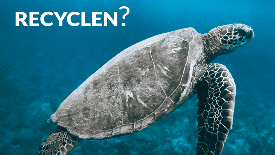 Eine Schildkröte schwimmt unter Wasser mit dem Text 'Ist es möglich, Haare zu recyclen?' im Bild.